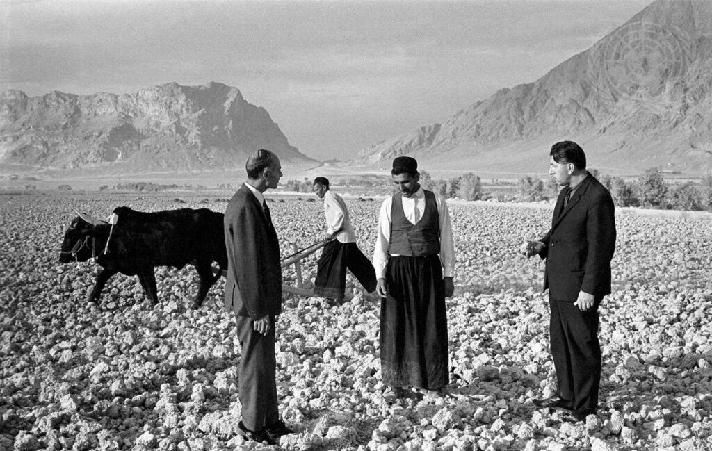 بُنه‌ در فرهنگ کشاورزی ایران